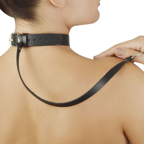 Леопардовый меховой ошейник с кожаным поводком Леопардовый меховой ошейник с кожаным поводком