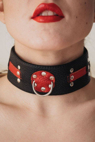 Чёрно-красный ошейник с клёпками Чёрно-красный ошейник с клёпками
