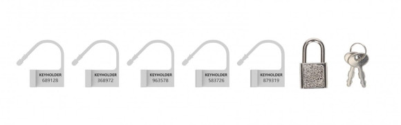 Набор запасных замков для пояса верности из 5 штук с ключиками Набор запасных замков для пояса верности из 5 штук с ключиками