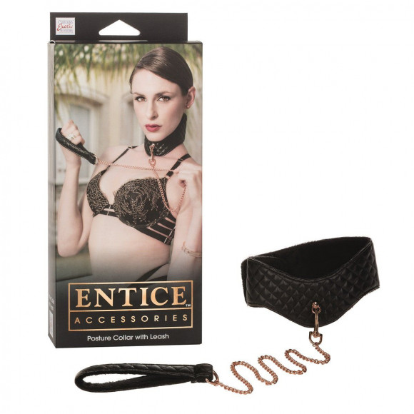 Ошейник с поводком Entice Posture Collar with Leash Ошейник с поводком Entice Posture Collar with Leash