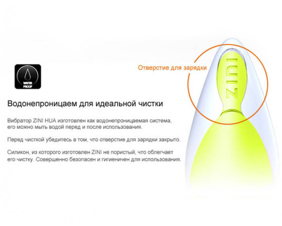 Черный с золотом вибратор ZINI ZOOK Черный с золотом вибратор ZINI ZOOK