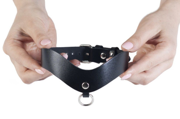 Стильный кожаный ошейник с кольцом для поводка Стильный кожаный ошейник с кольцом для поводка