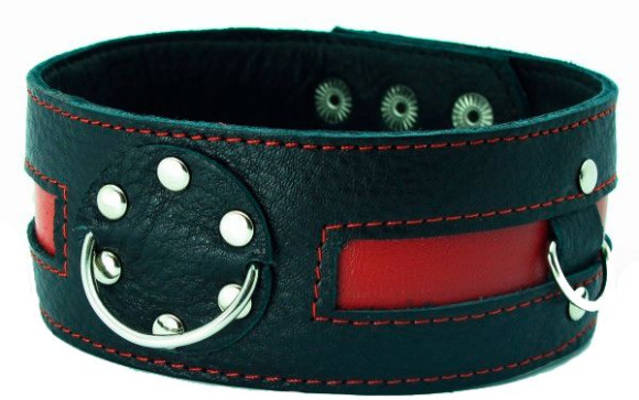 Чёрный кожаный ошейник с красной полосой и кольцами Чёрный кожаный ошейник с красной полосой и кольцами