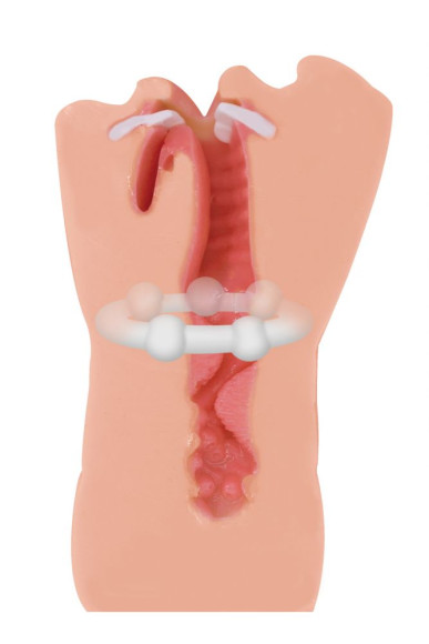 Мастурбатор-ротик Hot Babe Мастурбатор-ротик Hot Babe